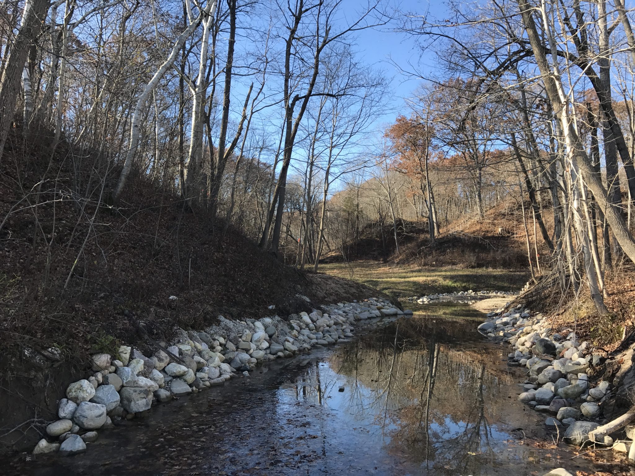 Fort Sheridan Ravine & Coastal Restoration - Image 2