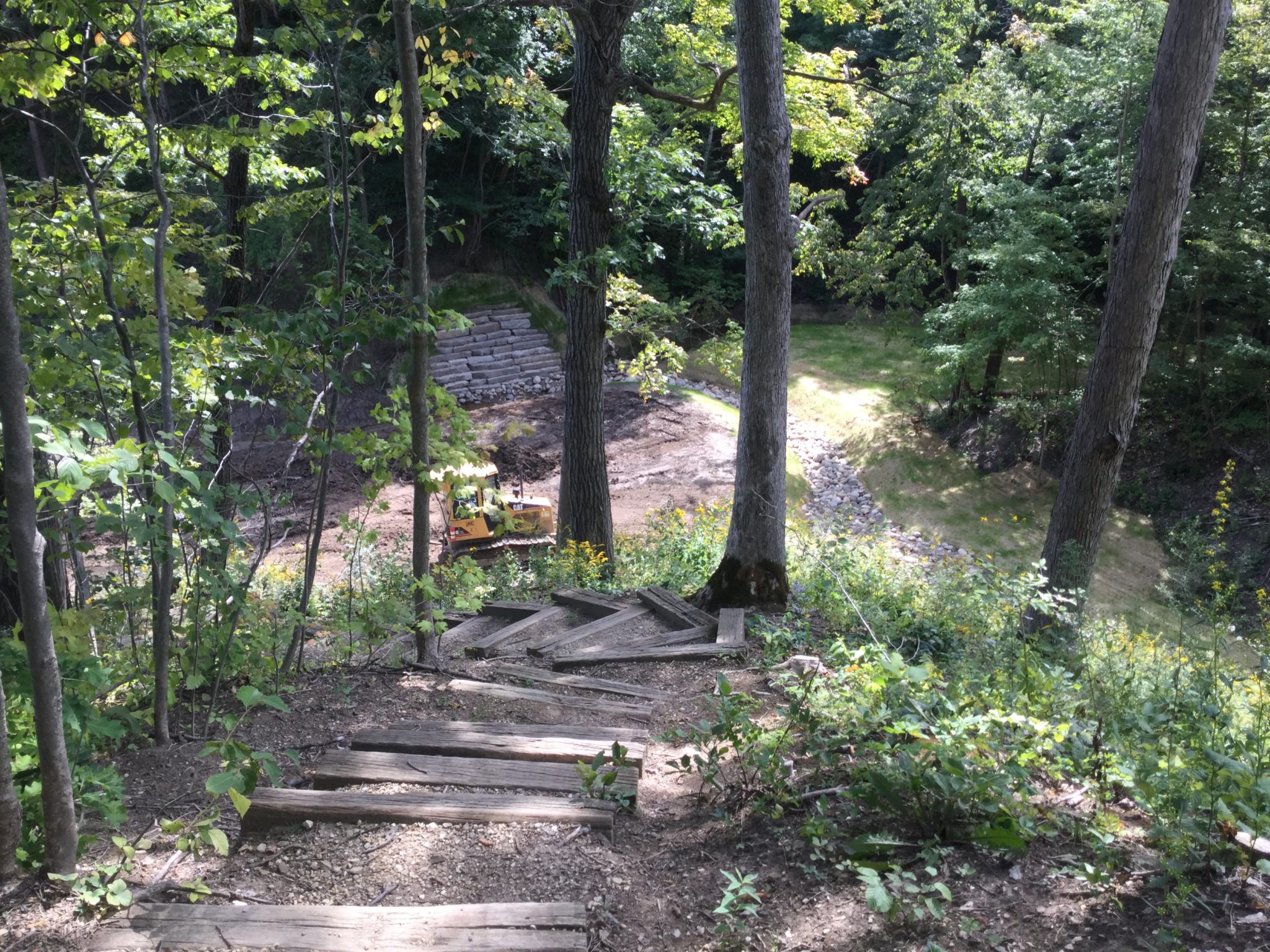 Fort Sheridan Ravine & Coastal Restoration - Image 3