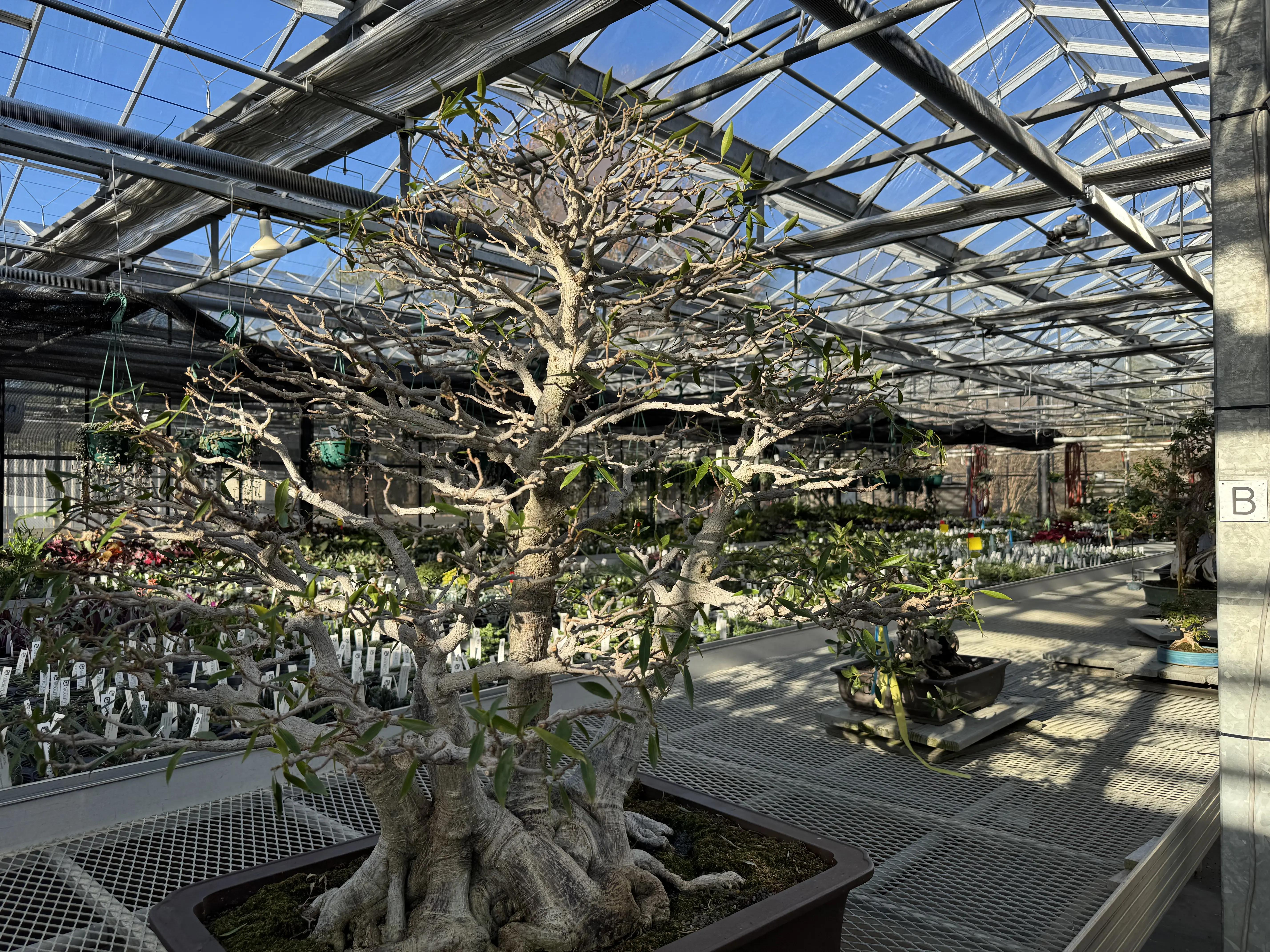 Bent Creek Experimental Forest