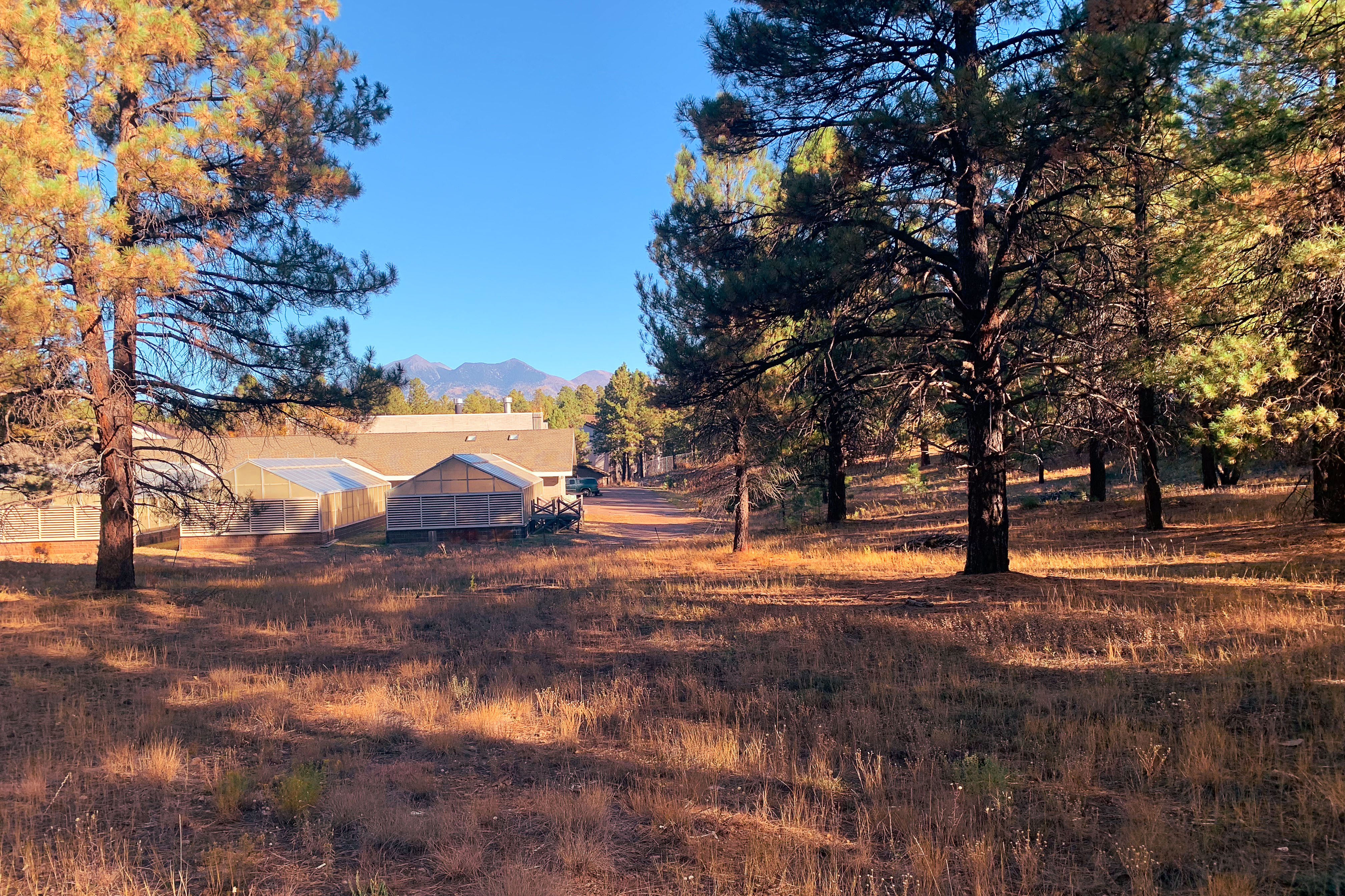 Rocky Mountain Research Station