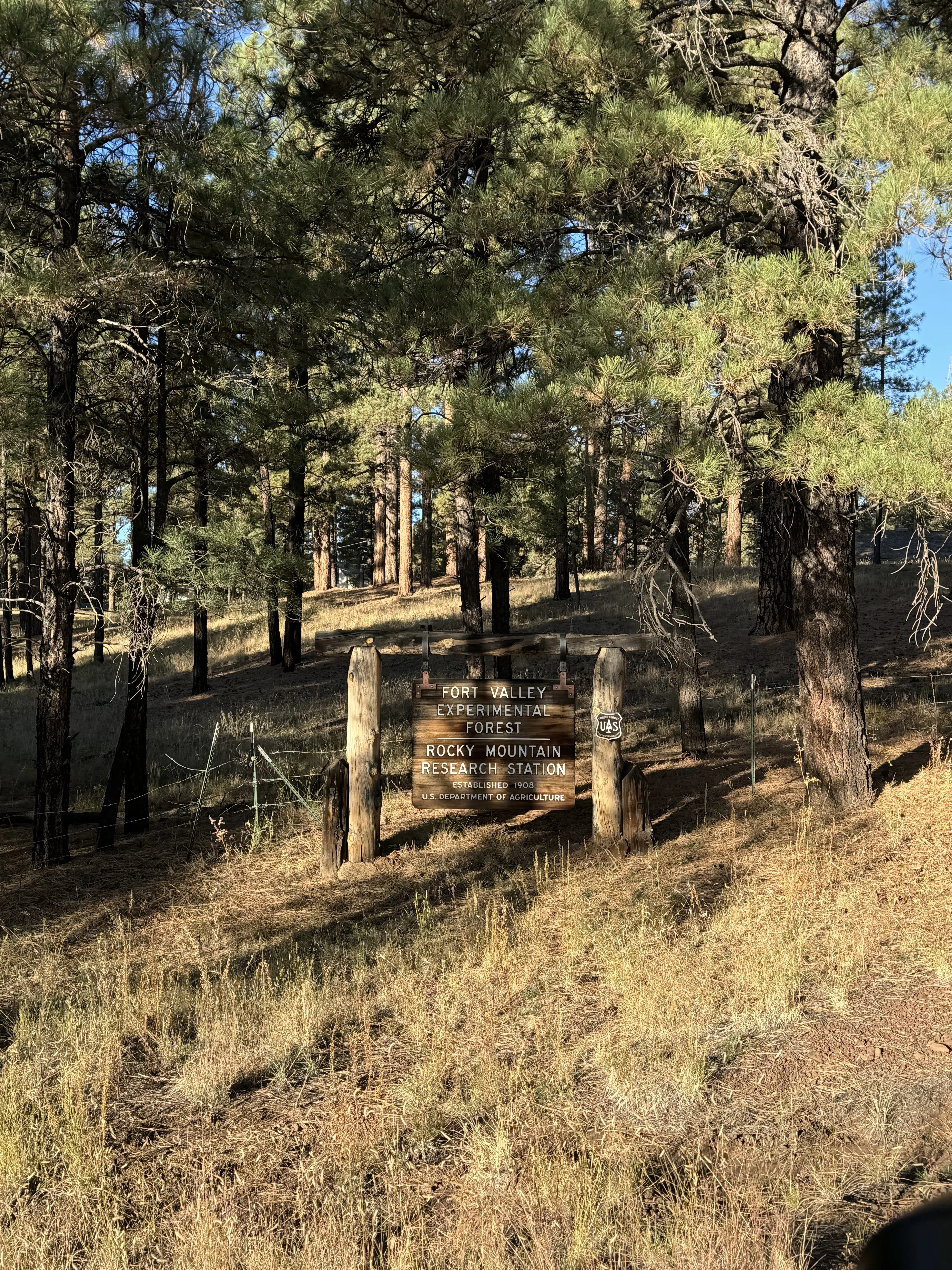 Fort Valley Experimental Forest