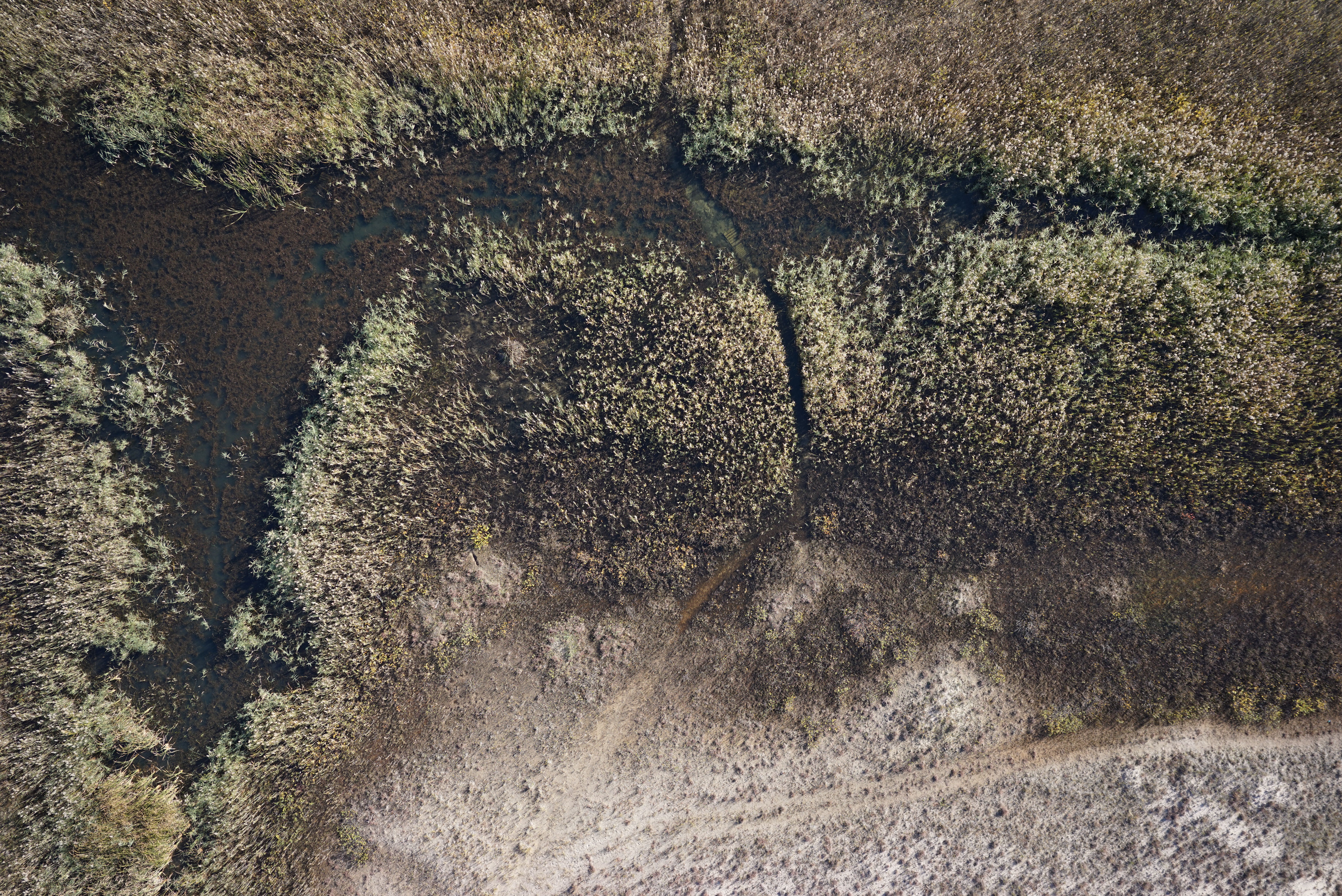 Waukegan Municipal Beach - Image 3