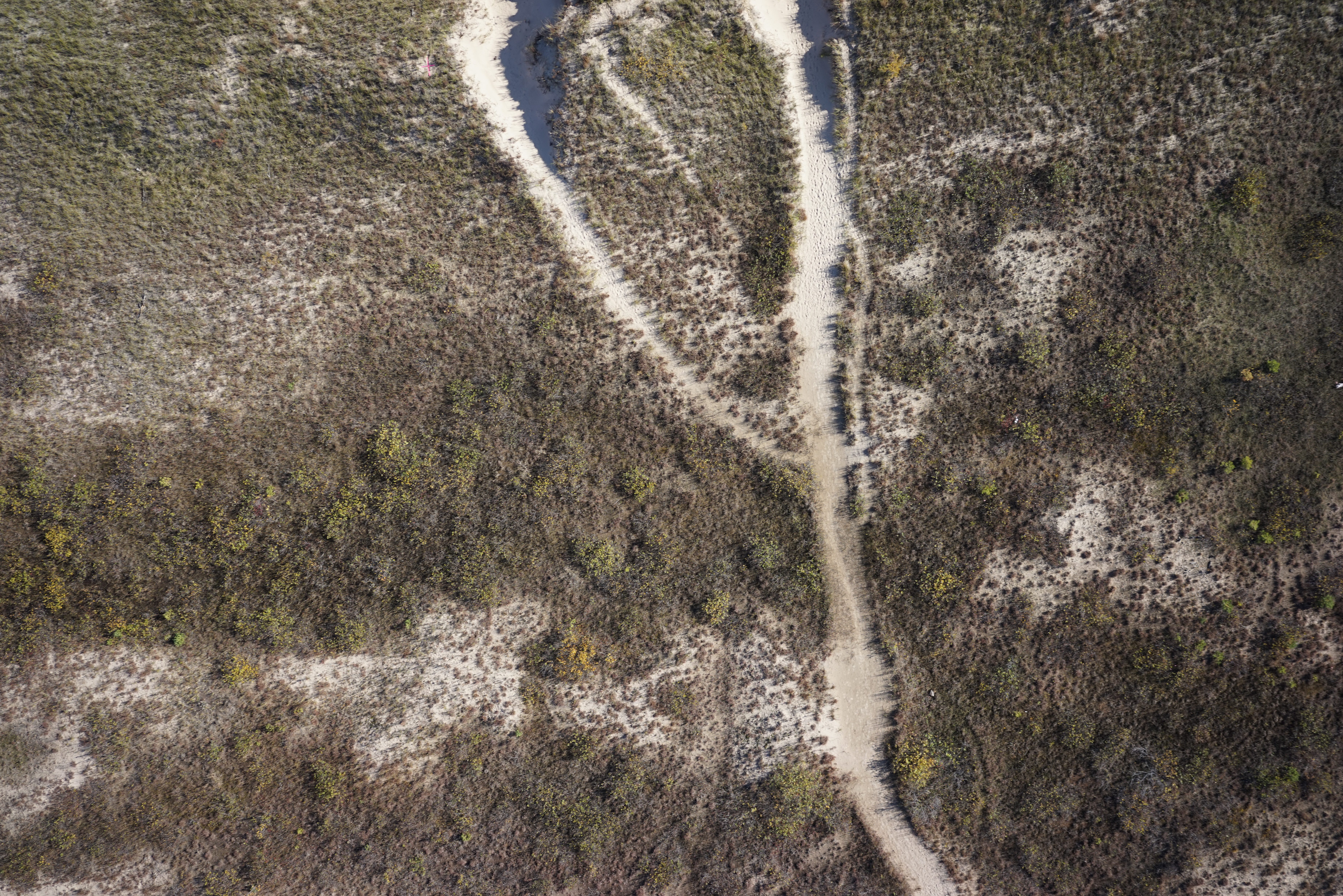Waukegan Municipal Beach - Image 6